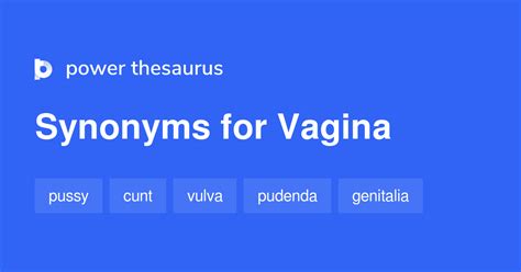 pussy synonyms|VAGINA Synonyms 